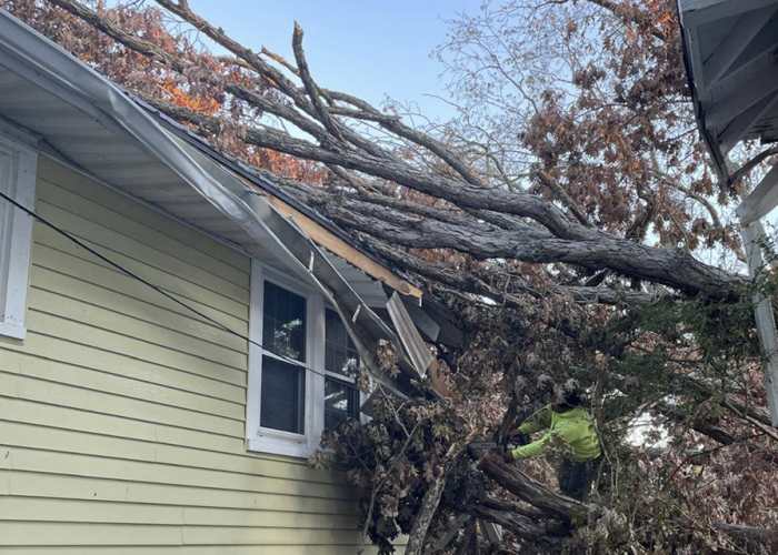 emergency 1 emergency 1